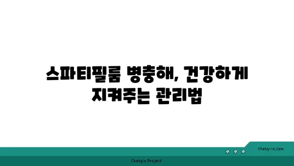 스파티필룸 키우기 완벽 가이드| 잎, 물주기, 번식, 병충해 관리 | 식물 키우기, 실내 식물, 공기 정화 식물