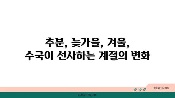 수국의 꽃말| 가을의 의미 | 가을, 꽃말, 의미, 9월, 10월, 11월, 추분, 늦가을, 겨울, 푸른 수국, 흰색 수국, 보라색 수국