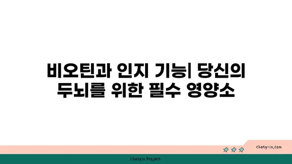 비오틴과 인지 기능| 당신의 두뇌 건강을 위한 필수 영양소 | 비오틴, 인지 능력, 두뇌 건강, 기억력, 집중력