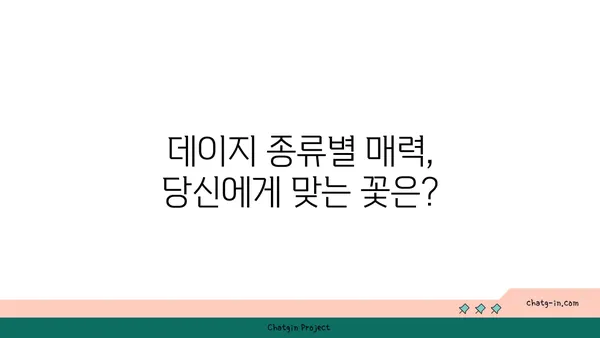 데이지 꽃의 매력에 빠지다| 종류별 특징과 관리법 | 데이지, 꽃, 식물, 관리, 종류