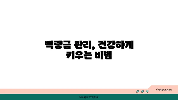 백량금 키우기 완벽 가이드 | 백량금, 재배, 관리, 번식, 효능