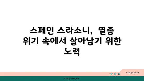 스페인 스라소니| 매혹적인 야생 고양이의 모든 것 | 스페인 고양이, 야생 동물, 동물 정보, 스페인 자연