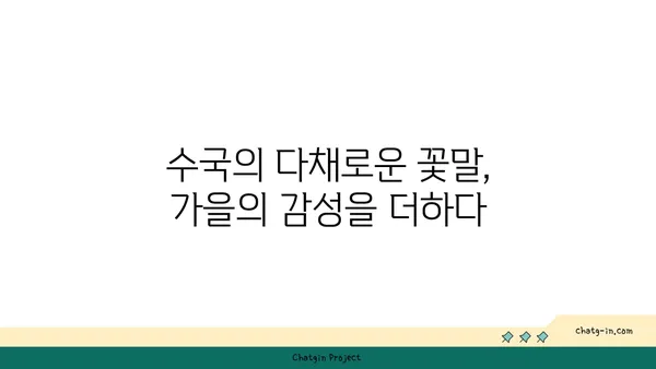 수국의 꽃말| 가을의 의미 | 가을, 꽃말, 의미, 9월, 10월, 11월, 추분, 늦가을, 겨울, 푸른 수국, 흰색 수국, 보라색 수국