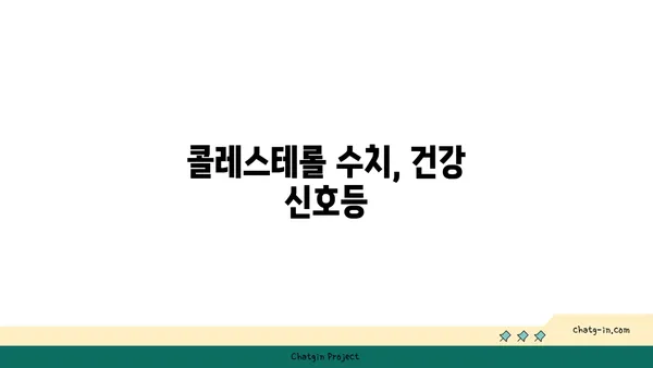 콜레스테롤 수치가 말해주는 건? | 건강, 심혈관 질환, 수치 해석, 관리 팁