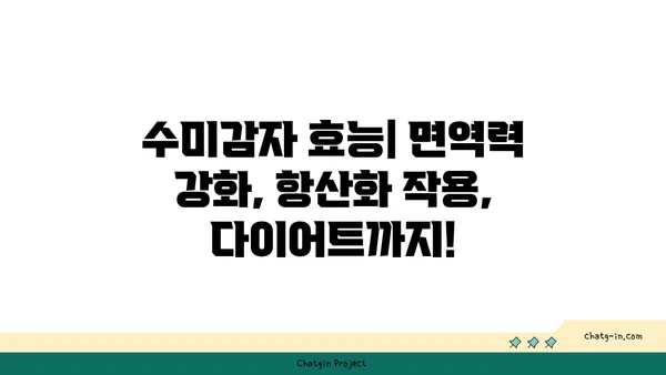 수미감자| 감자와 고구마를 능가하는 건강한 선택 | 수미감자 효능, 수미감자 레시피, 수미감자 재배