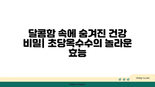 초당옥수수| 만성 질환 퇴치의 새로운 가능성? | 건강 효능, 섭취 방법, 주의 사항