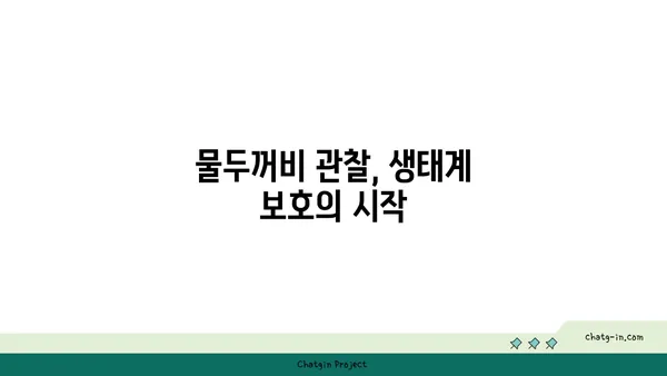 물두꺼비 생태 관찰 가이드 | 양서류, 서식지, 보호