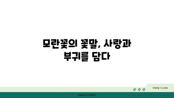 모란의 매력에 빠지다| 꽃말, 전설, 그리고 아름다움 | 모란꽃, 꽃, 식물, 전설, 의미, 아름다움