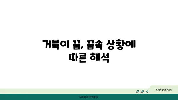 거북이 꿈, 길몽일까? 흉몽일까? | 거북 꿈 해몽, 꿈 해석, 꿈 의미, 거북 꿈 풀이