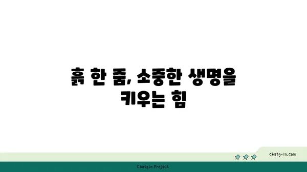 지구의 토양| 생명의 토대 | 토양의 중요성, 종류, 보존 방법, 지속 가능한 미래