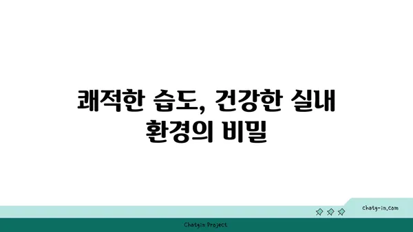 쾌적함을 위한 습도의 비밀| 쾌적한 실내 습도 찾기 | 습도 조절, 상대 습도, 건강, 실내 환경