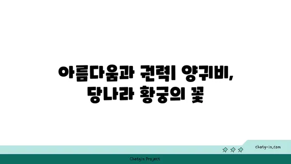 양귀비의 매혹적인 이야기| 아름다움과 비극의 삶 | 중국 역사, 당나라, 현종, 장안, 사랑, 슬픔