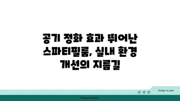 스파티필룸 키우기 완벽 가이드| 잎, 물주기, 번식, 병충해 관리 | 식물 키우기, 실내 식물, 공기 정화 식물