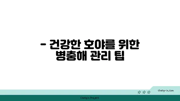 호야 키우기 완벽 가이드 | 호야 종류, 물 주기, 햇빛, 번식, 병충해