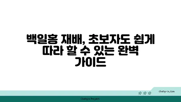 백일홍의 매력에 빠지다|  꽃말, 종류, 재배 방법 완벽 가이드 | 백일홍, 꽃, 원예, 재배, 종류, 꽃말