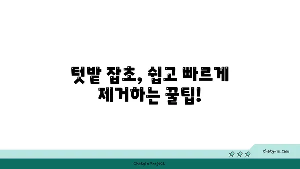 잡초 제거 꿀팁| 뽑아도 뽑아도 끝없는 잡초, 효과적인 제거 방법 대공개 | 잡초 제거, 잡초 관리, 정원 관리, 텃밭 관리, 친환경 제초