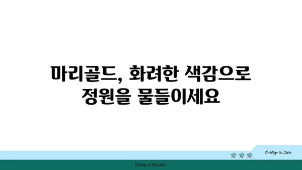 마리골드 꽃의 매력, 심는 방법부터 관리까지 완벽 가이드 | 마리골드 키우기, 꽃말, 종류, 효능