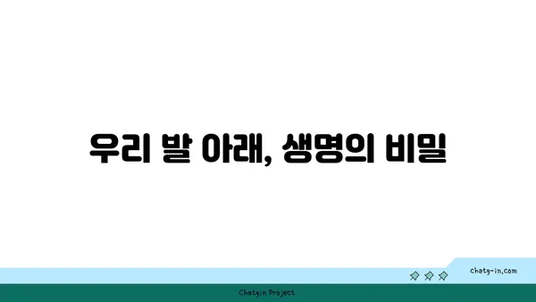 지구의 토양| 생명의 토대 | 토양의 중요성, 종류, 보존 방법, 지속 가능한 미래