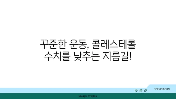 콜레스테롤 수치 낮추기| 3가지 필수 방법 | 건강, 식단, 운동, 생활습관