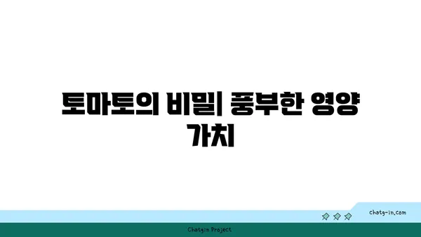 토마토의 놀라운 효능| 특성과 영양학적 가치 | 건강, 식단, 비타민, 미네랄, 항산화