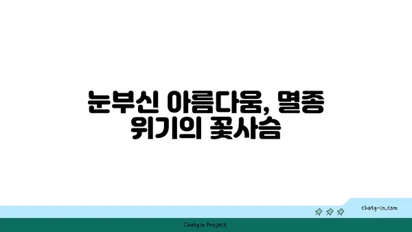 꽃사슴의 매력에 빠지다| 아름다움과 신비로움을 간직한 멸종위기 동물 |  꽃사슴, 멸종위기 동물, 아름다움, 신비로움, 보호