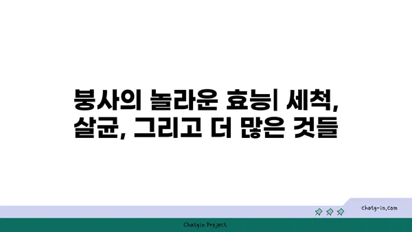 붕사의 놀라운 활용법| 세척부터 살균까지 | 붕사, 활용법, 세척, 살균, 천연 세제