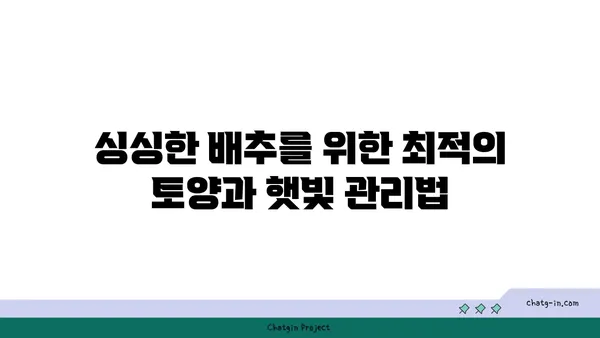 배추 재배 가이드| 싱싱한 배추 수확을 위한 완벽한 안내 | 배추, 재배, 농사, 텃밭, 채소,