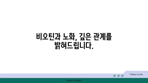 비오틴, 노화 방지에 효과적인가요? | 비오틴, 노화, 건강, 영양