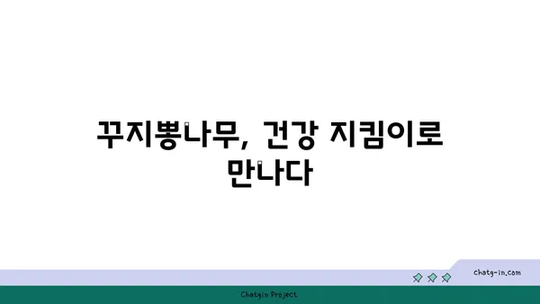 꾸지뽕나무 효능과 활용법 총정리 | 꾸지뽕 효능, 꾸지뽕차, 꾸지뽕나무 재배