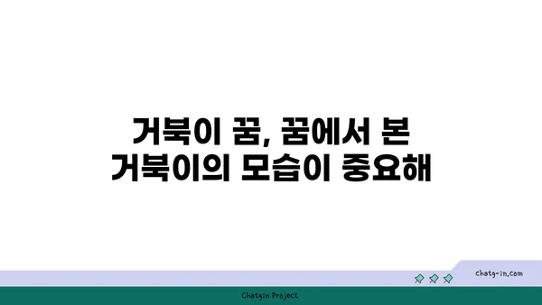 거북이 꿈, 길몽일까? 흉몽일까? | 거북 꿈 해몽, 꿈 해석, 꿈 의미, 거북 꿈 풀이