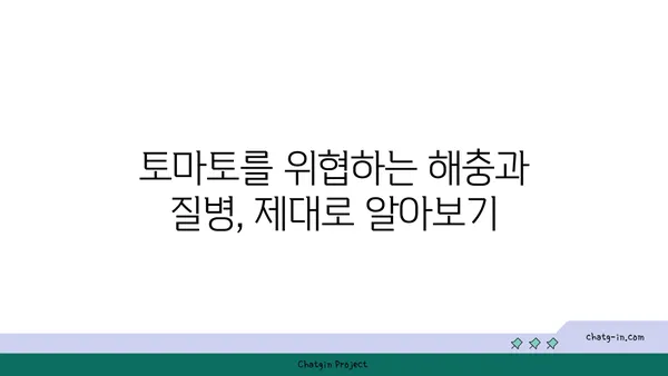 토마토 해충 및 질병 관리| 건강한 식물을 위한 완벽 가이드 | 토마토 재배, 병충해 예방, 관리 팁