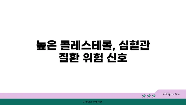 콜레스테롤 수치가 말해주는 건? | 건강, 심혈관 질환, 수치 해석, 관리 팁