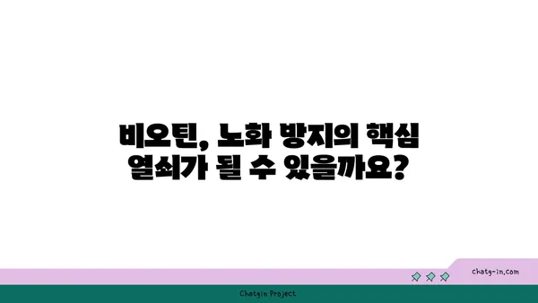 비오틴, 노화 방지에 효과적인가요? | 비오틴, 노화, 건강, 영양