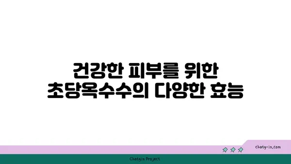 피부 건강을 위한 초당옥수수의 놀라운 효능 | 피부 미용, 콜라겐, 항산화