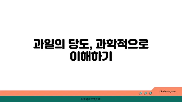 수박의 달콤함, 과학으로 풀어보는 비밀 | 수박, 과일, 당도, 과학, 재배