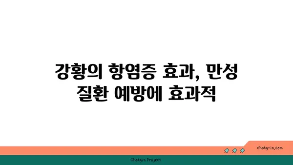 강황의 놀라운 효능| 건강, 요리, 그리고 아름다움 | 건강, 항염증, 터메릭, 요리 레시피, 피부 미용