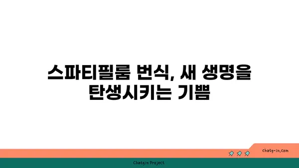 스파티필룸 키우기 완벽 가이드| 잎, 물주기, 번식, 병충해 관리 | 식물 키우기, 실내 식물, 공기 정화 식물