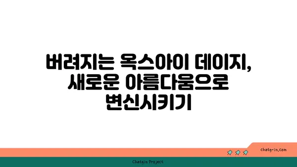 옥스아이 데이지| 지속 가능한 아름다움을 위한 재활용 가이드 | 옥스아이 데이지, 재활용, 지속 가능성, 환경 보호, DIY 프로젝트