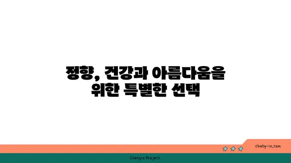 정향의 놀라운 효능과 활용법| 건강, 요리, 그리고 미용까지 | 정향, 건강, 요리, 미용, 효능, 활용