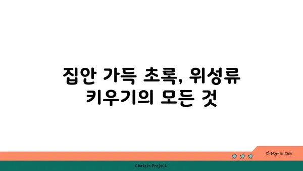 위성류의 매력에 빠지다| 종류별 특징과 인기 위성류 소개 | 위성류, 식물, 관상, 재배, 종류, 인기