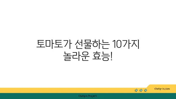 건강한 식단을 위한 선택! 토마토를 먹어야 하는 10가지 이유 | 토마토 효능, 영양, 레시피