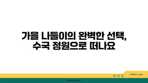 수국과 함께 따뜻한 가을 오후, 완벽한 하루 만들기 | 가을 데이트, 수국 정원, 가을 나들이