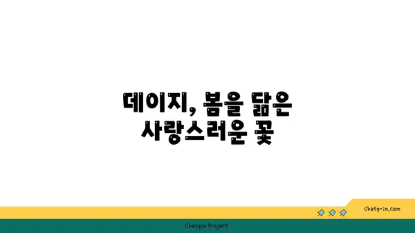 데이지 꽃의 매력에 빠지다| 종류별 특징과 관리법 | 데이지, 꽃, 식물, 관리, 종류