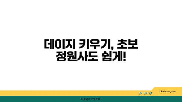 데이지 꽃의 매력에 빠지다| 종류별 특징과 관리법 | 데이지, 꽃, 식물, 관리, 종류