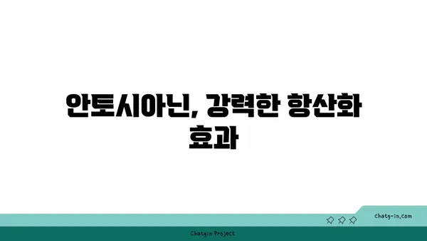 안토시아닌의 효능과 섭취 방법| 건강을 위한 푸른빛 솔루션 | 안토시아닌, 항산화, 눈 건강, 뇌 건강, 식품