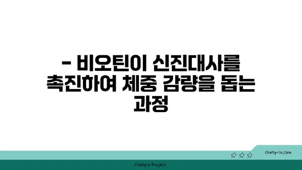 비오틴, 건강한 체중 유지에 어떻게 도움이 될까요? | 체중 감량, 영양, 건강 팁