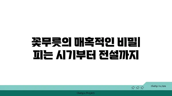 꽃무릇의 매혹적인 비밀| 피는 시기부터 전설까지 | 꽃무릇, 상사화, 꽃말, 전설, 개화시기, 의미