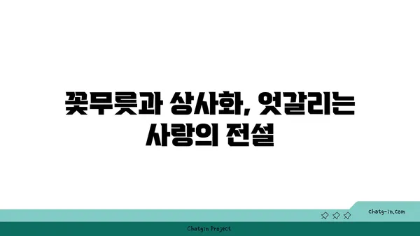 꽃무릇의 매혹적인 비밀| 피는 시기부터 전설까지 | 꽃무릇, 상사화, 꽃말, 전설, 개화시기, 의미