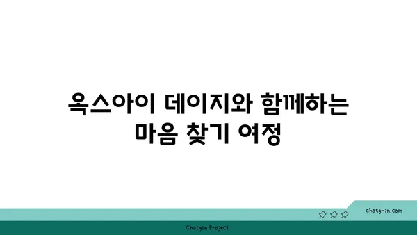 옥스아이 데이지와 함께하는 마음챙김 연습| 집중력 향상과 평온 찾기 | 명상, 자연, 집중, 스트레스 해소