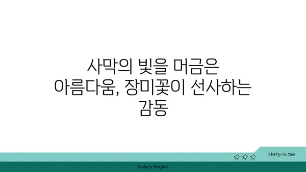 사막의 장미, 그 매혹적인 아름다움과 생존의 비밀 | 사막 식물, 선인장, 생존 전략, 꽃